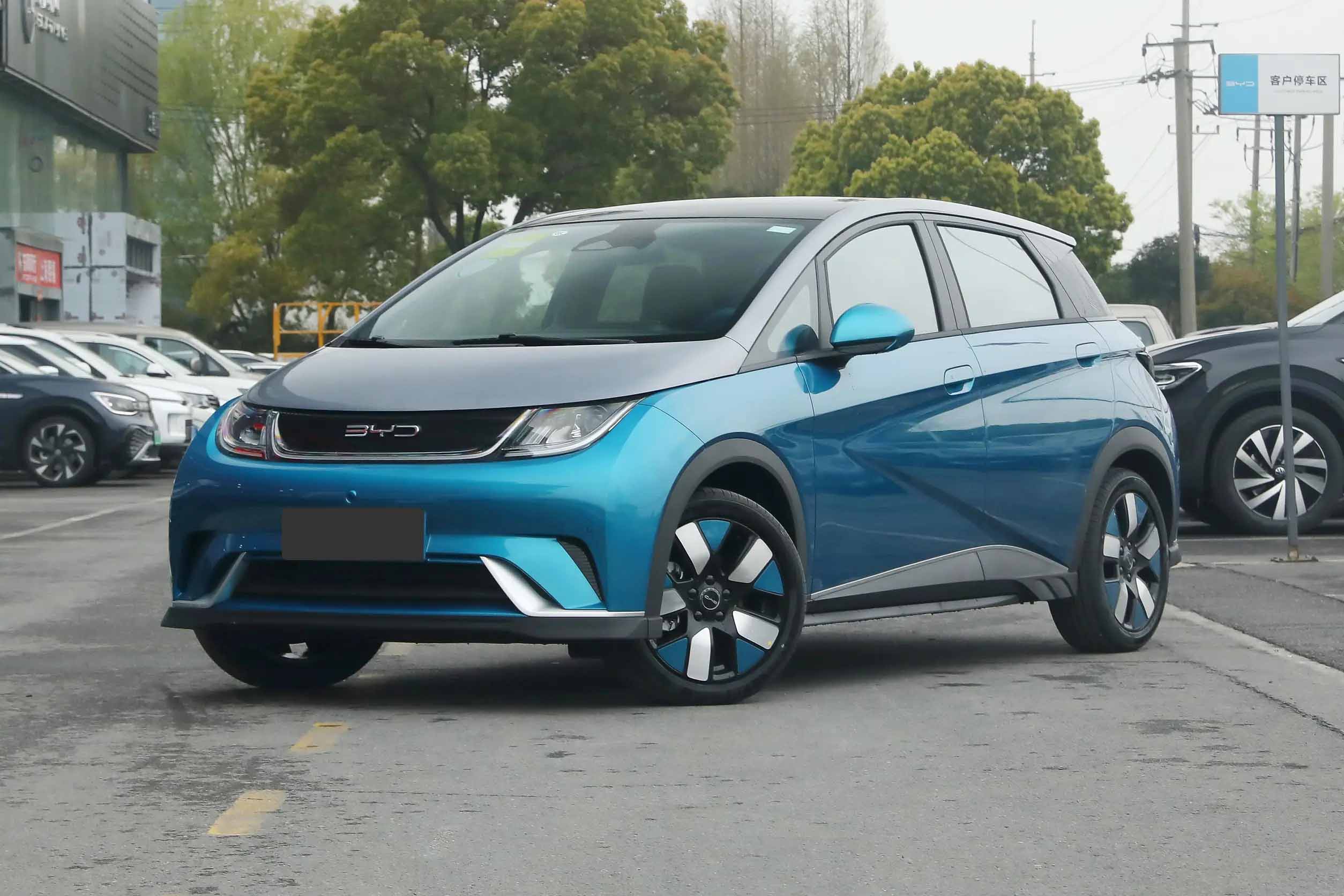 BYD Dolphin — Compact Hatchback